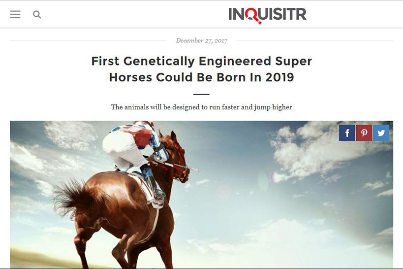 Primeros súper caballos diseñados genéticamente podrían nacer en 2019