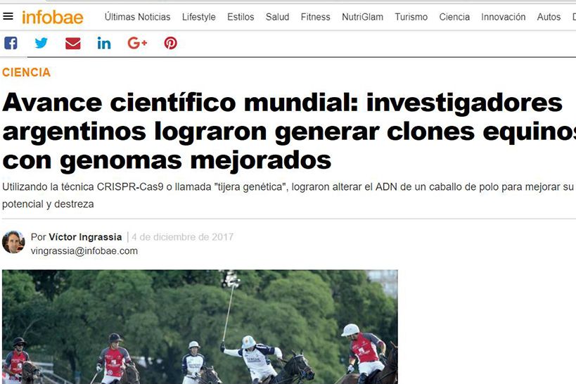 World scientific advance: Argentine researchers managed to generate equine clones with improved genomes