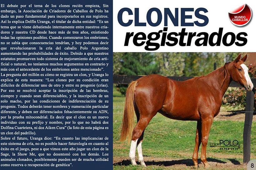 Clones registrados