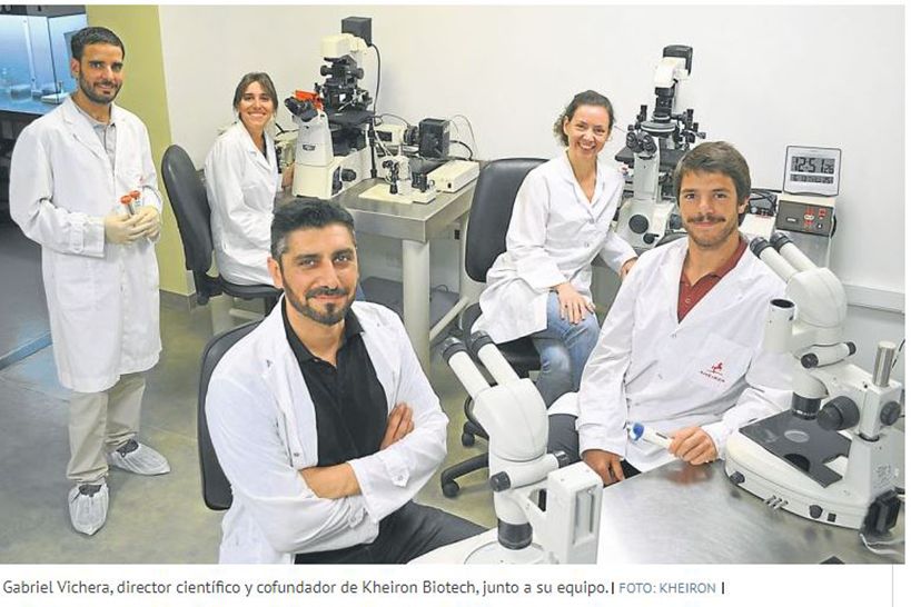 Argentine scientists manage to edit the bovine genome to produce more and better meat