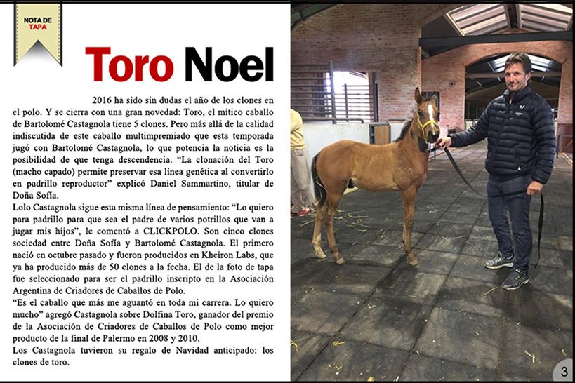 Toro Noel