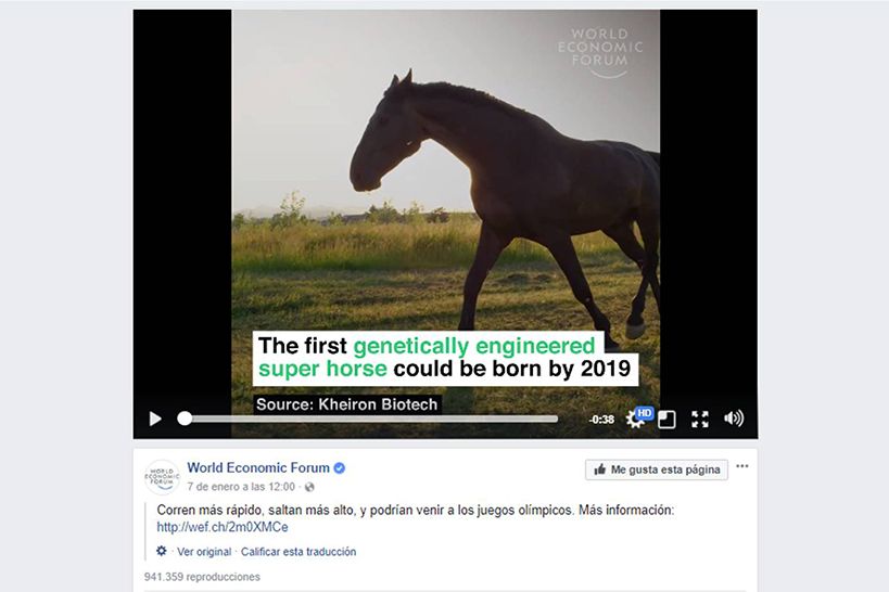El primer super caballo genéticamente diseñado podría nacer en 2019