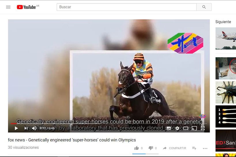 Super caballos genéticamente diseñados podrían ganar los Juegos Olímpicos