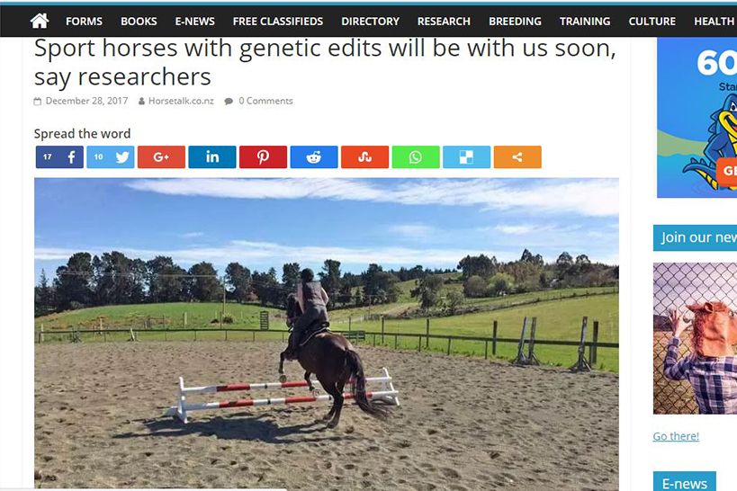 Sport horses with genetic edits will be with us soon, say researchers
