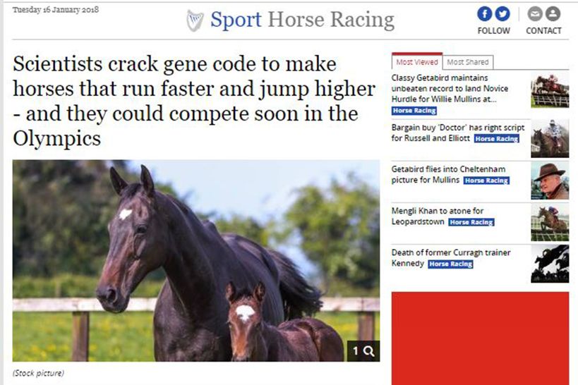 Scientists crack gene code to make horses that run faster and jump higher - and they could compete soon in the Olympics