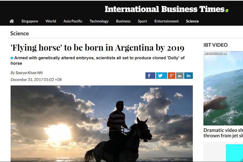 'Flying horse' to be born in Argentina by 2019