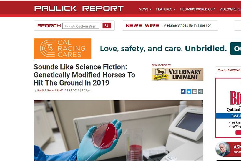 Sounds Like Science Fiction: Genetically Modified Horses To Hit The Ground In 2019