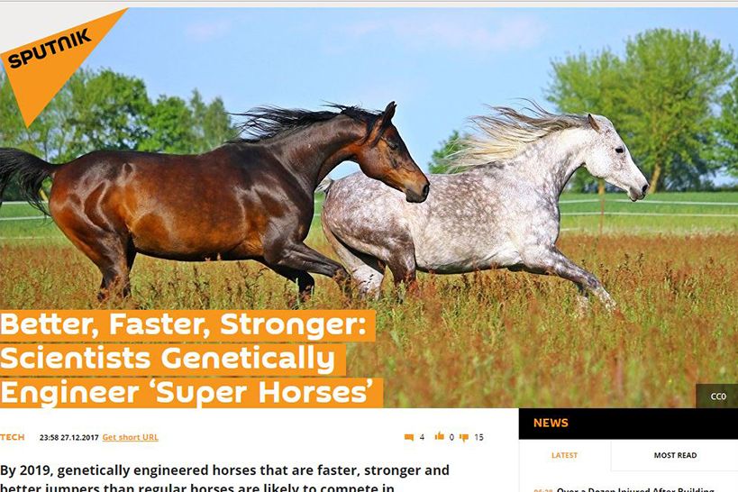 Mejor, más rápido, más fuerte: científicos diseñan genéticamente 'Super caballos'