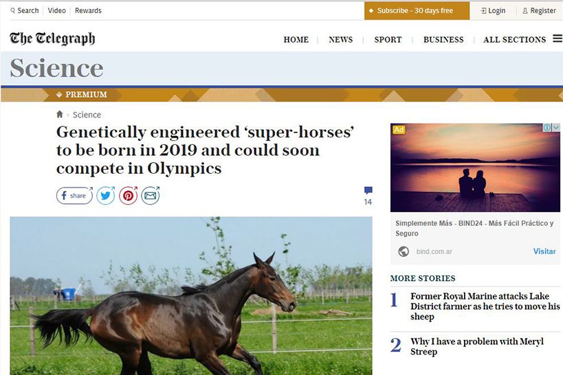 'Super caballos' genéticamente diseñados para nacer en 2019 y poder competir pronto en los Juegos Olímpicos